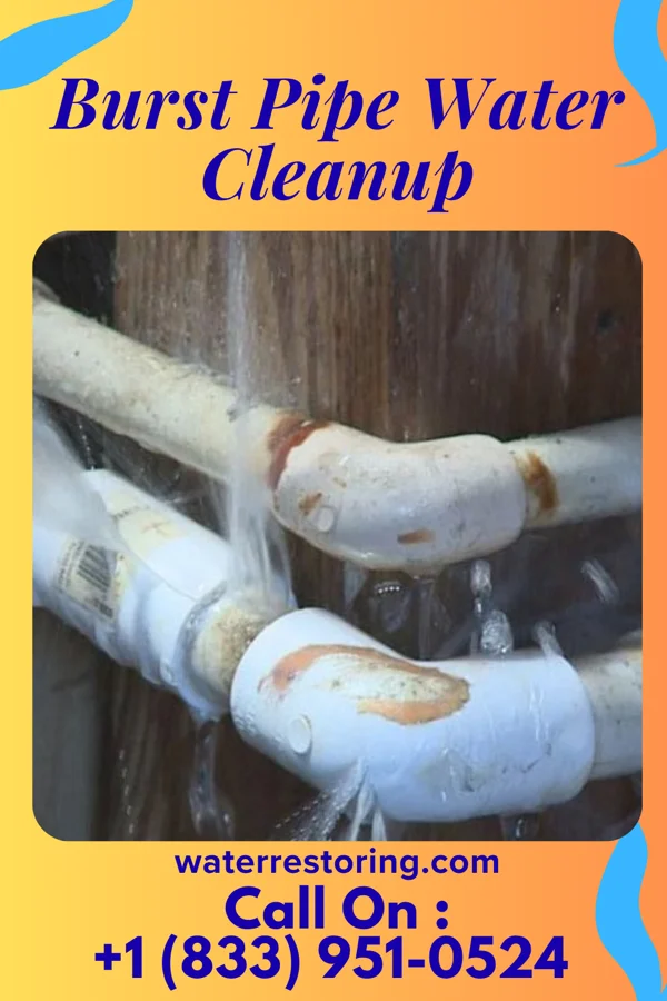 Burst Pipe Water Cleanup in Omaha, NE