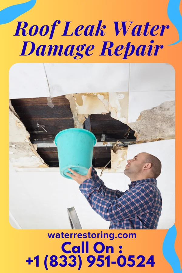 Roof Leak Water Damage Repair in Omaha, NE